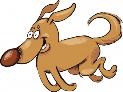 Prive wandeling of uitlaten van uw hond