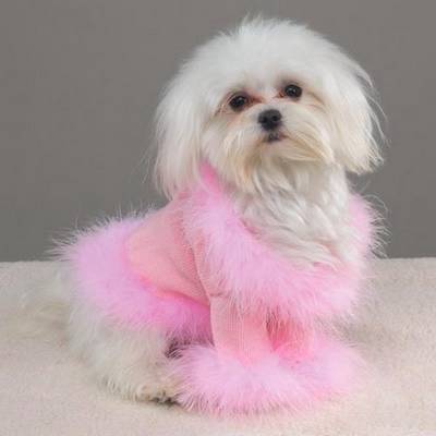HONDENKLEDING VAN DOGFASHIONSHOP
