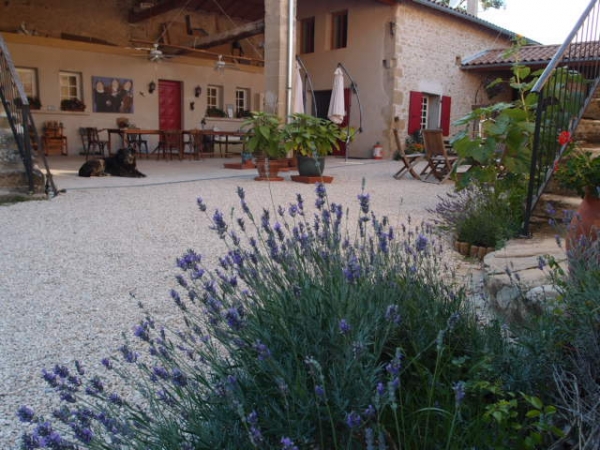 Drome: Bed and breakfast kamer 7 nachten 2 pers. incl. ontbijt