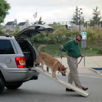 Hondenloopplank petstep dogstep