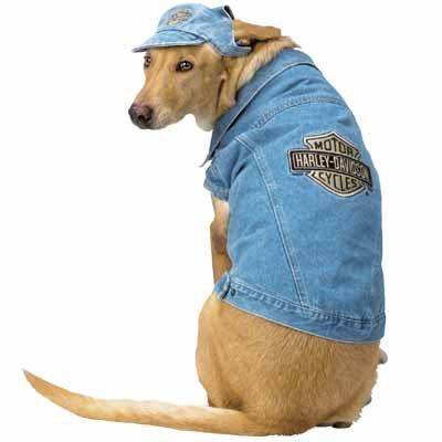 HONDENKLEDING VAN DOGFASHIONSHOP
