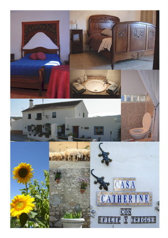 Bed & Breakfast in hartje Andalucia