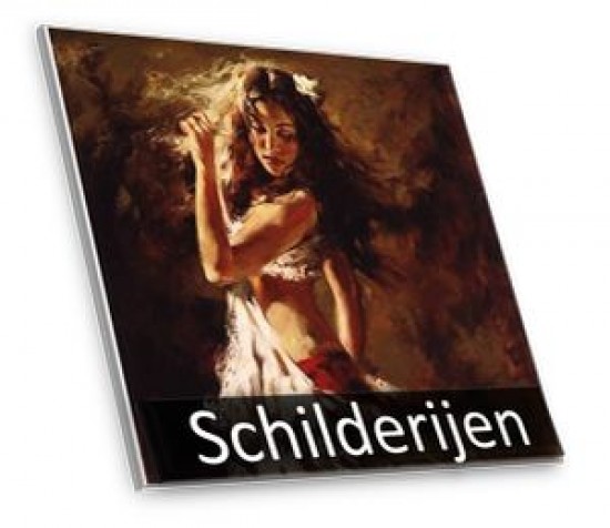 Handgemaakte olieverf schilderijen