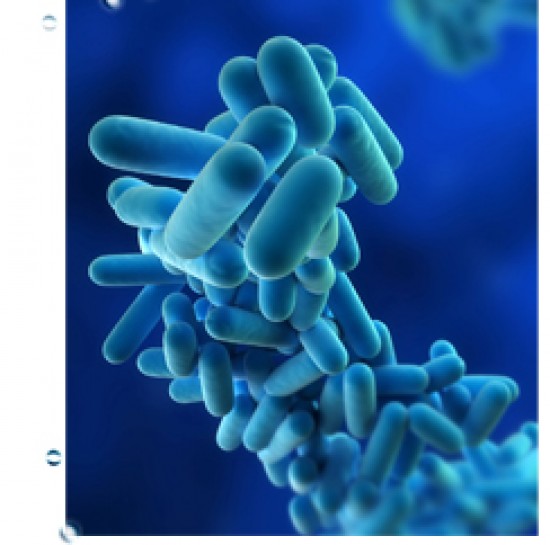Aqua Secure - Legionellapreventie, legionellabeheersing en legionella bestrijding — foto 1