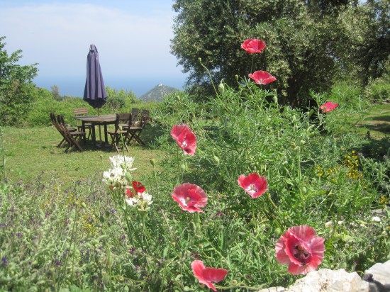 NATURE, BODY and SOUL Inspiratieweken op Samos (Griekenland)