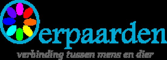 Coaching met paarden