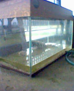 Aquarium 60x30x35 cm