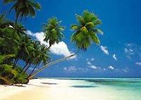 Blue Travel