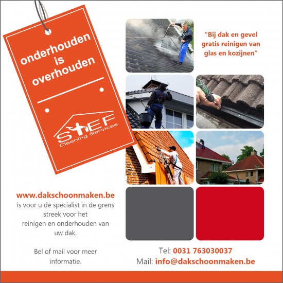 Dak reiniging en onderhoud