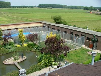 Hondencreche en dierenpension, langs de A2