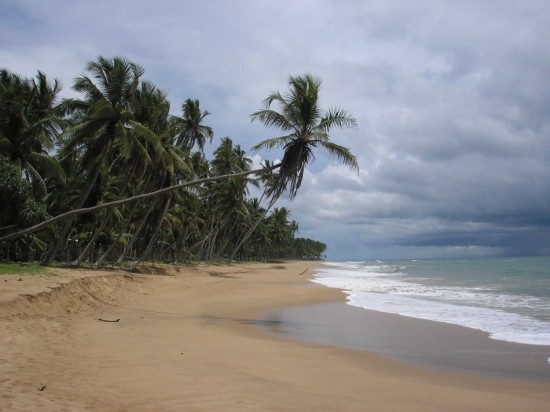 Grundstück zu verkaufen - Sri Lanka