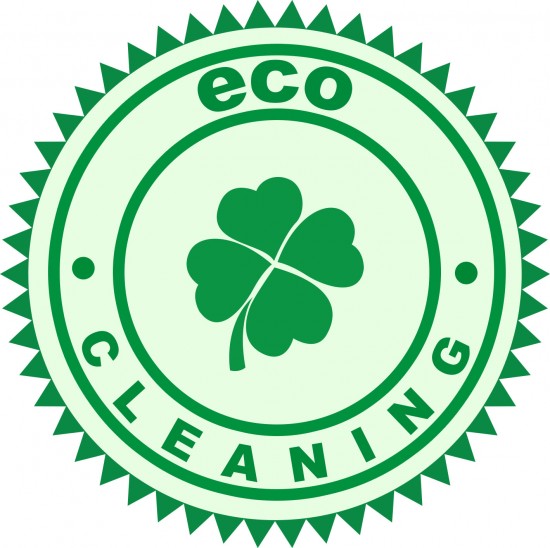 Eco schoonmaak 5 euro Groningen!