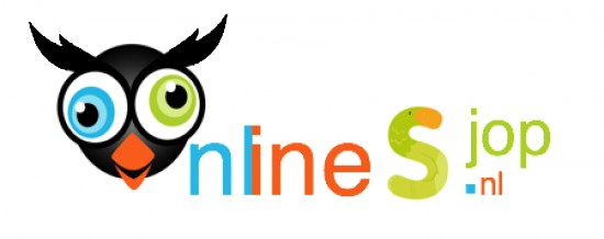 Tip: Start vandaag nog! Responsive Webdesign, Webshop.