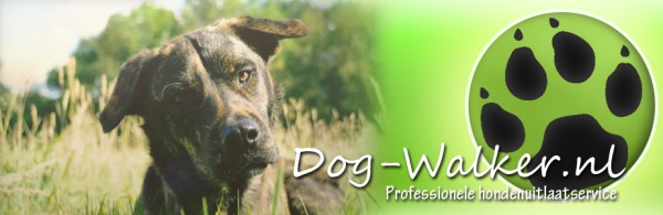 Dog-Walker hondenuitlaatservice gediplomeerd kleine groepen