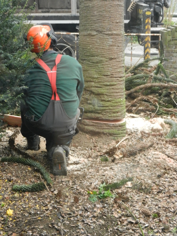 Alround hoveniers bedrijf voor alle voortkomende werkzaamheden in de tuin