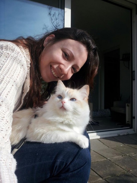 Aangeboden : oppas voor honden en katten ( ook eventueel knaagdieren)