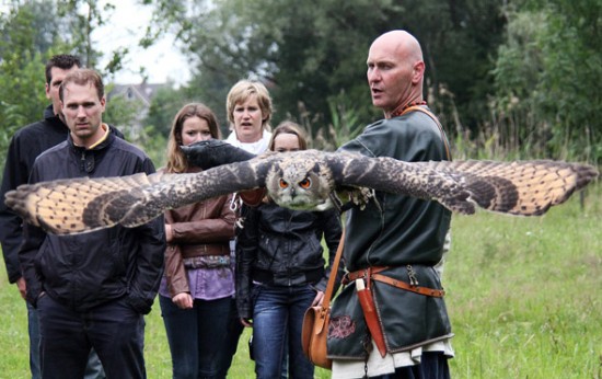 Middeleeuwse / viking kleding, Roofvogels, zwaarden, uilen, trouwen, workshops, vergaderruimte
