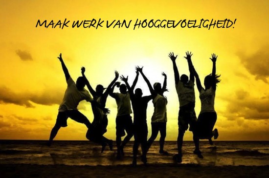 Cursus HSP Begeleider 23 januari 2016