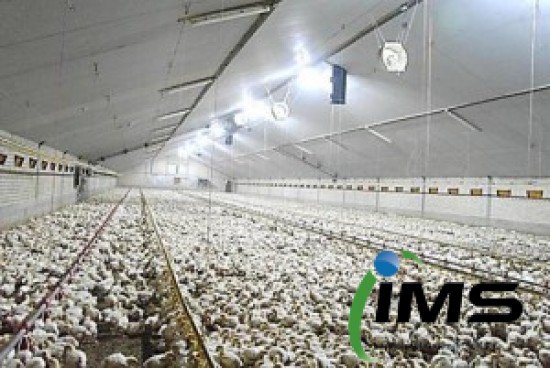 Meer Led Licht = Meer verdienen = Minder kosten = Meer winst