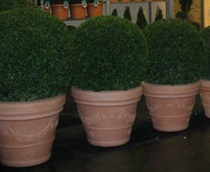 Www.terras-pot.nl