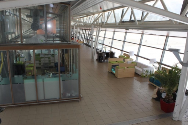 Heerlijke Garra Rufa Visspa met pedicure op de Pier in Scheveningen