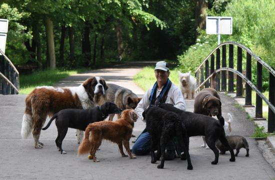 Honden Uitlaatservice