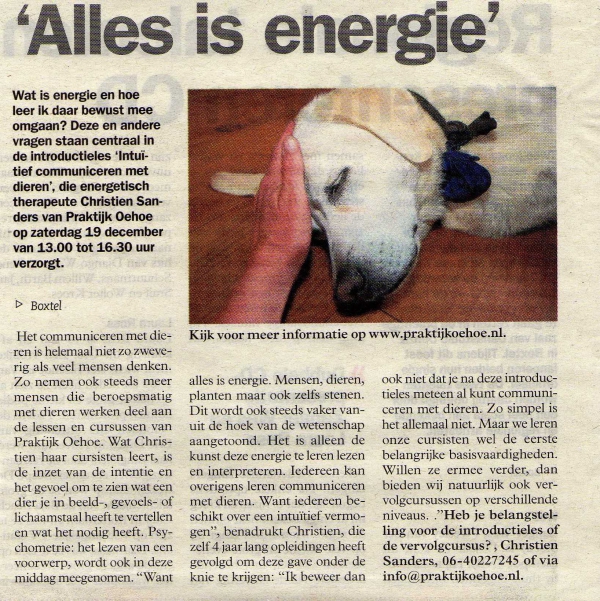 2 daagse Workshop Intuitief Communiceren met Dieren