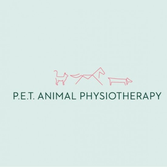 Dierfysiotherapie | P.E.T. Animal Physiotherapy | Amsterdam