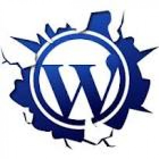 2014 goed beginnen? De hele maand januari 20% korting op uw eigen veilige cms website of winkel! — foto 1