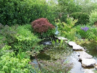 Tuinonderhoud, -aanleg, -ontwerp, boomverzorging