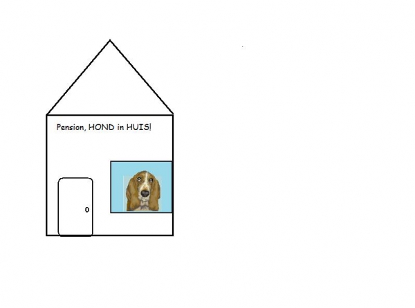 Tijdens uw vakantie nemen wij uw hond in ons gezin op