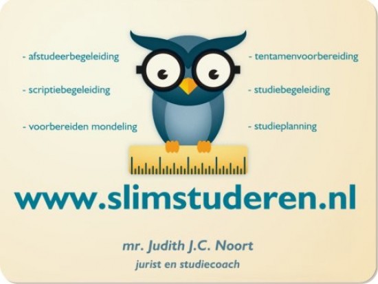 Scriptiebegeleiding HBO of universitair