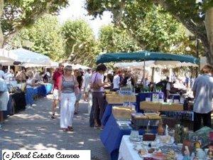 Www.palmedazur.com TOP Appartementen Villas Cannes Cote dAzur Frankrijk te Huur en te Koop!