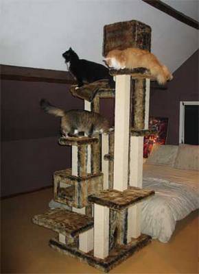 JustCats krabpalen
