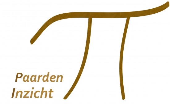 Coaching met Paarden