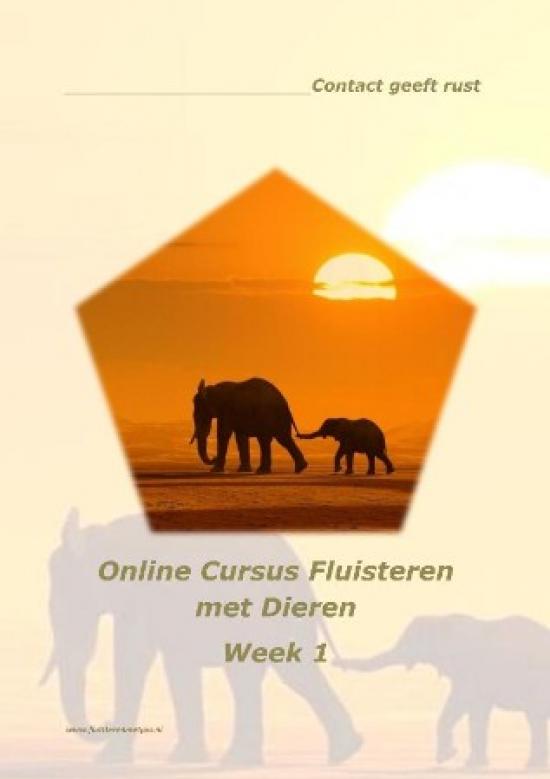 Online Cursus Fluisteren met Dieren