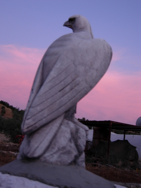 B&B in hartje Andalucia