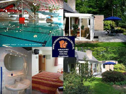Zeer luxe bungalow,Yacuzzi,whirplool,sauna,zonnebank
