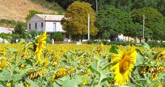 Agriturismo Kastanje