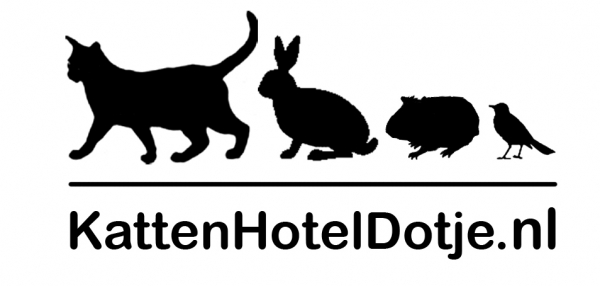 Kattenpension, Kattenhotel, Dierenpension, Kattengedragstherapie
