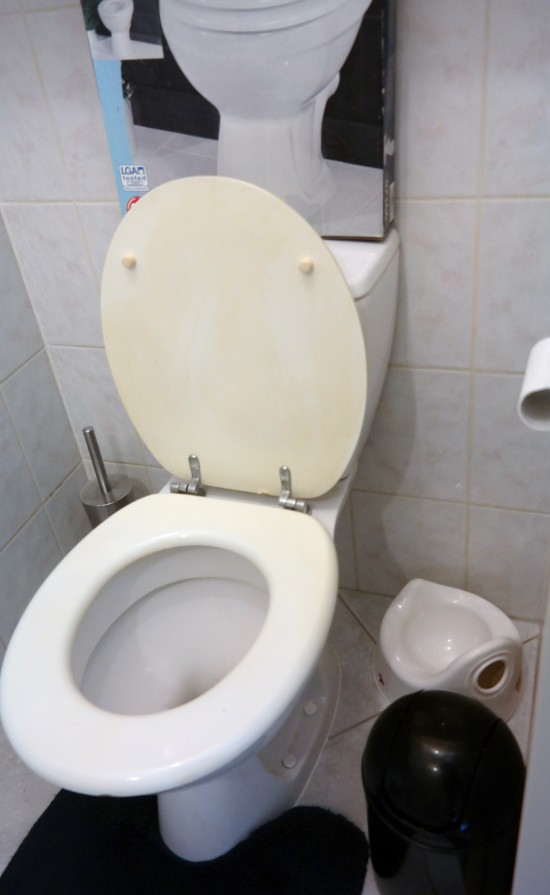 Plaatsen hangend toilet