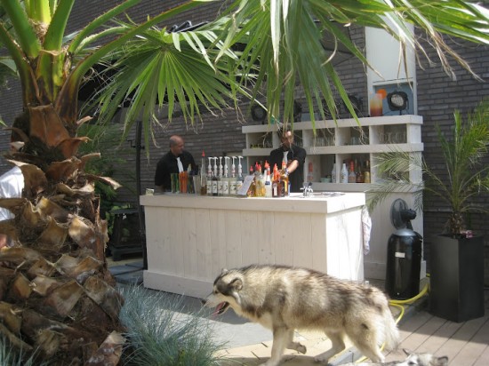 Trendy Cocktails | Mobiele cocktailbar voor elk evenement en elke locatie ! — foto 2