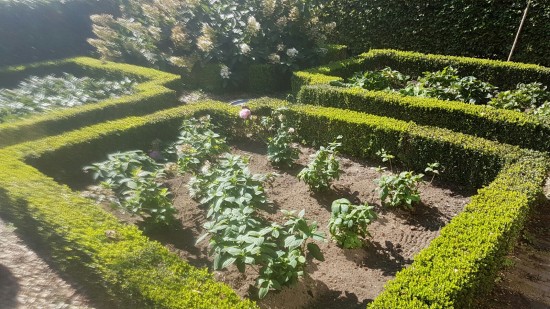 Uitstekende kwaliteit tegen de voordeligste prijs — foto 2