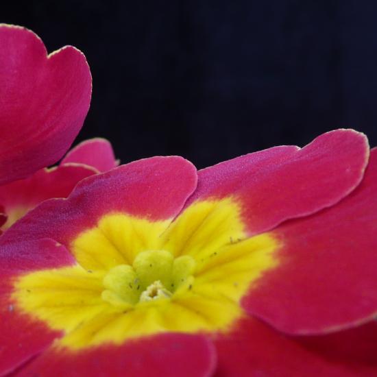 Cursus digitale fotografie — foto 2
