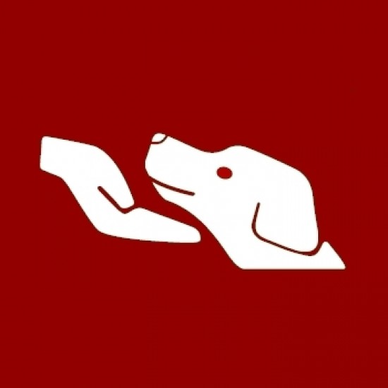 Hondenuitlaatservice in de buurt gezocht? — foto 2
