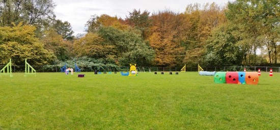 Hondenuitlaatservice HappyLife op afgesloten hondenspeeltuin in Zoetermeer — foto 2