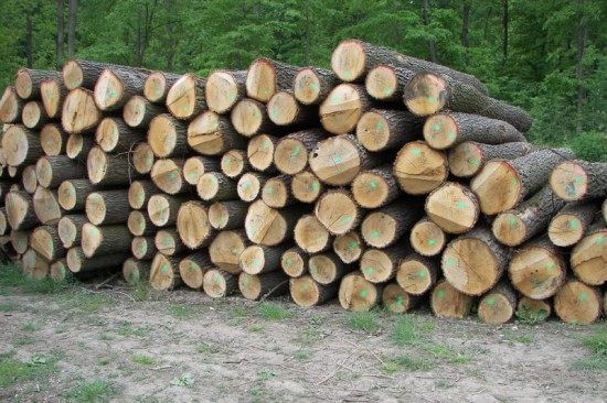 Brennholz Qualität zum Verkauf — foto 2
