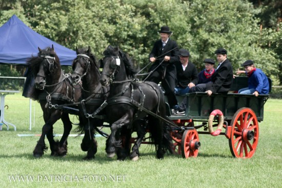 Show op uw evenement? Romeinse Strijdwagen en Koetsenverhuur — foto 2