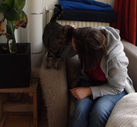 Vakantie oppas katten aan huis — foto 2