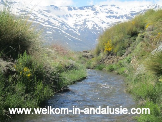 Vakantiehuisje met prive zwembad spanje andalusie — foto 2